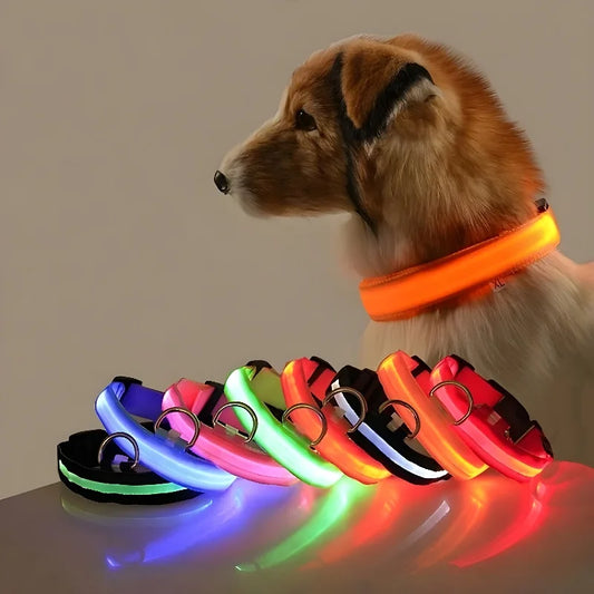 Dog Collar Nylon LED Night Safety Flashing Glow In The Dark Pet Dog Leash pet Dogs Luminous Fluorescent dog accessories collar